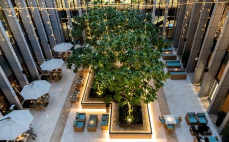 Anantara Downtown Dubai Hotel, Business Bay, 5-Star, Starts $220, Rating 4.6, Dubai