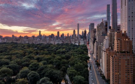 Mandarin Oriental, Columbus Circle, 5-Star, Starts $1167, Rating 4.7, New York